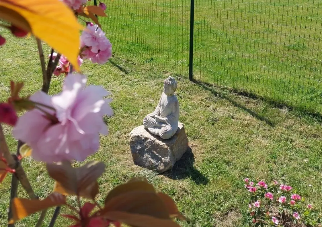 Statue de bouddha dans le jardin zen